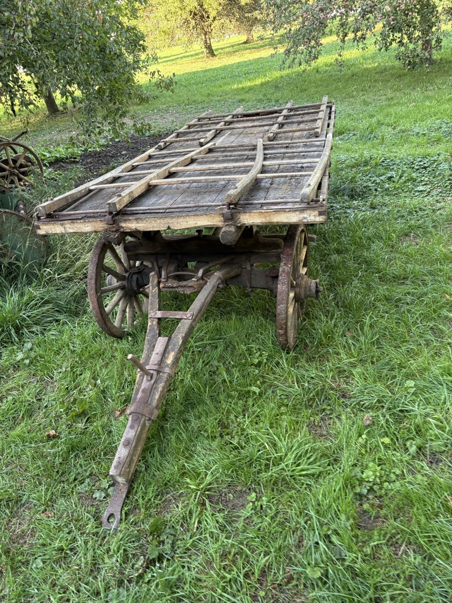 Rimorchi: Holzwagen Altertum – Usato da Wangen SZ venduto da Freilich89 1
