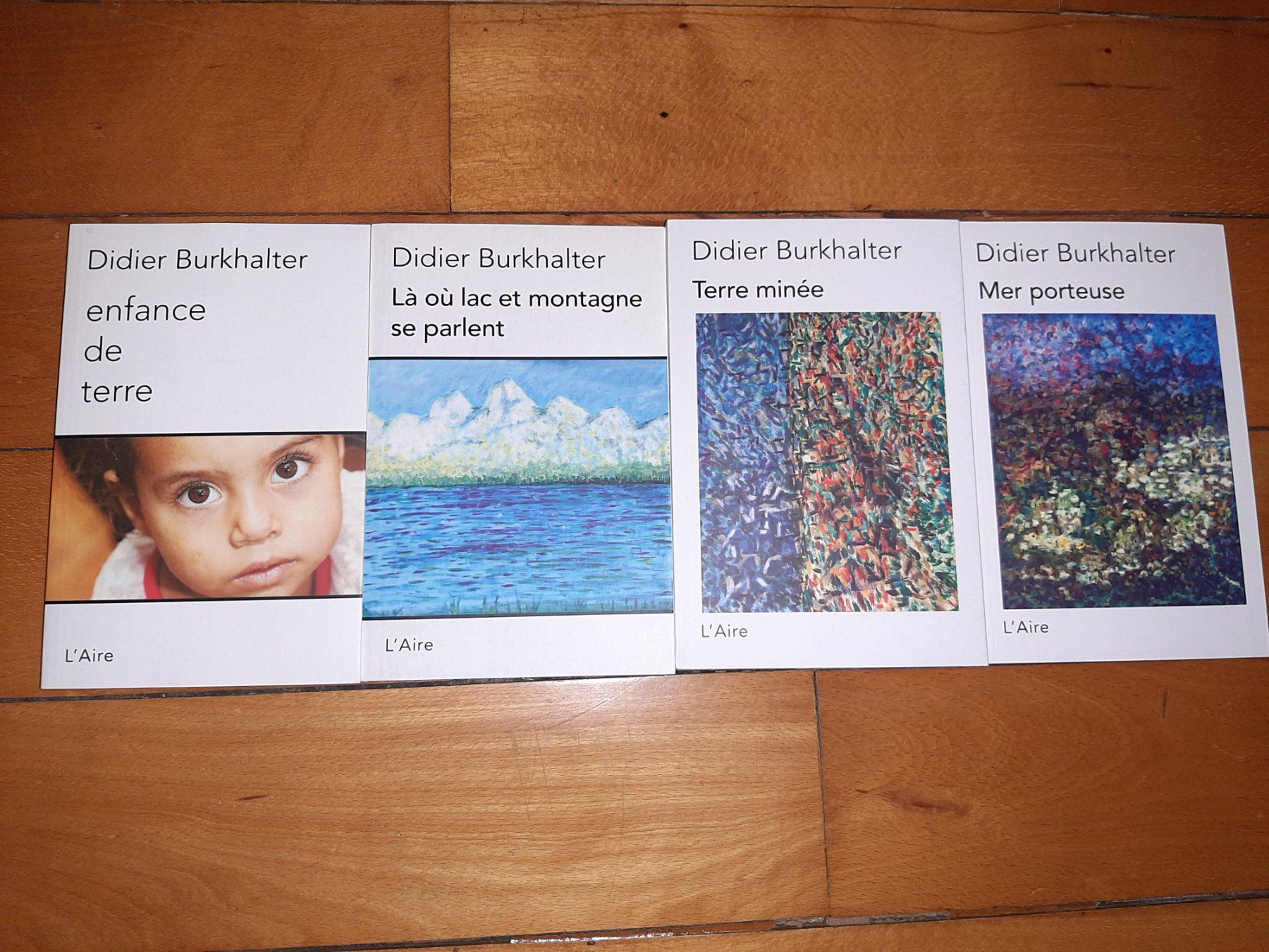 Libri: 4 Livres Didier Burkhalter – Usato da Neuchâtel venduto da Budy.jul-5 5