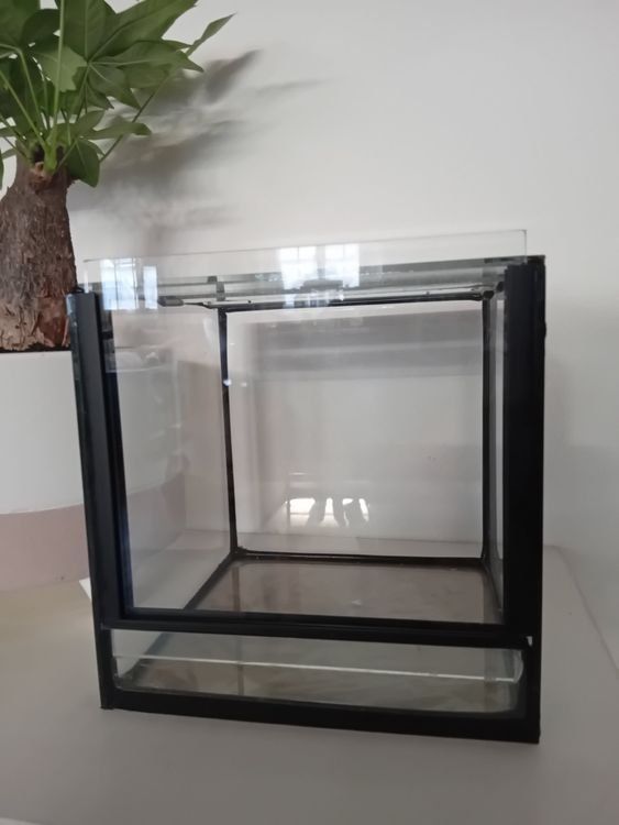 Terrarium: Terrarium, 4 Stück – Gebraucht aus Schüpfheim von lestat04 2