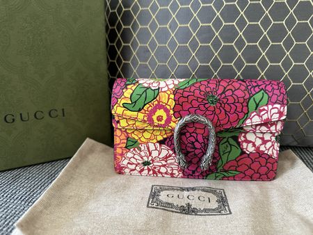 Gucci x Ken Scott Dionysus mini (limitierte Kollaboration)