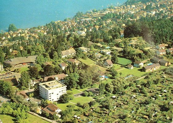 Cartoline postali: RÜSCHLIKON Flugaufnahme – Usato da Jona venduto da philajona