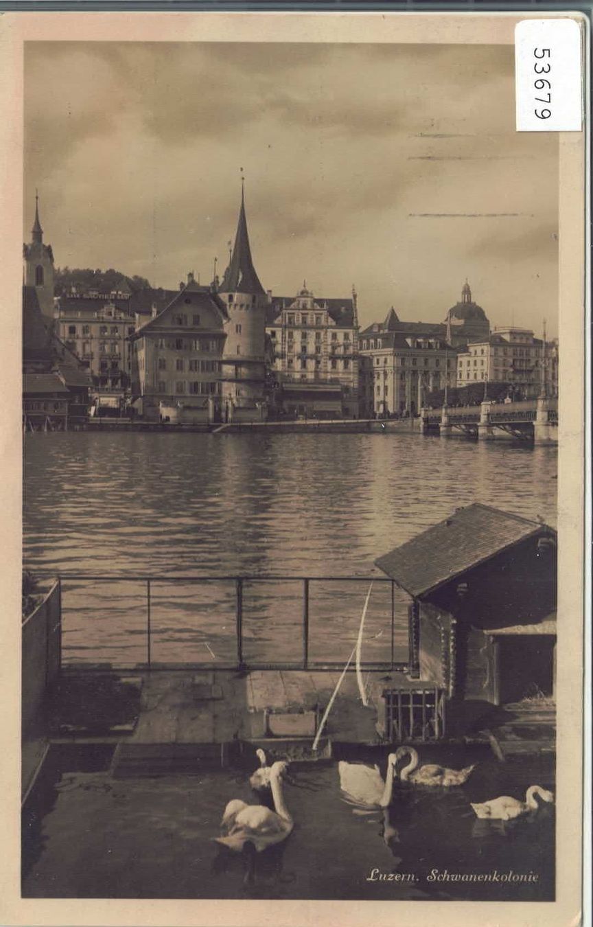 Cartoline postali: Luzern - Schwanenkolonie – Usato da Ettingen venduto da Kartenplanet