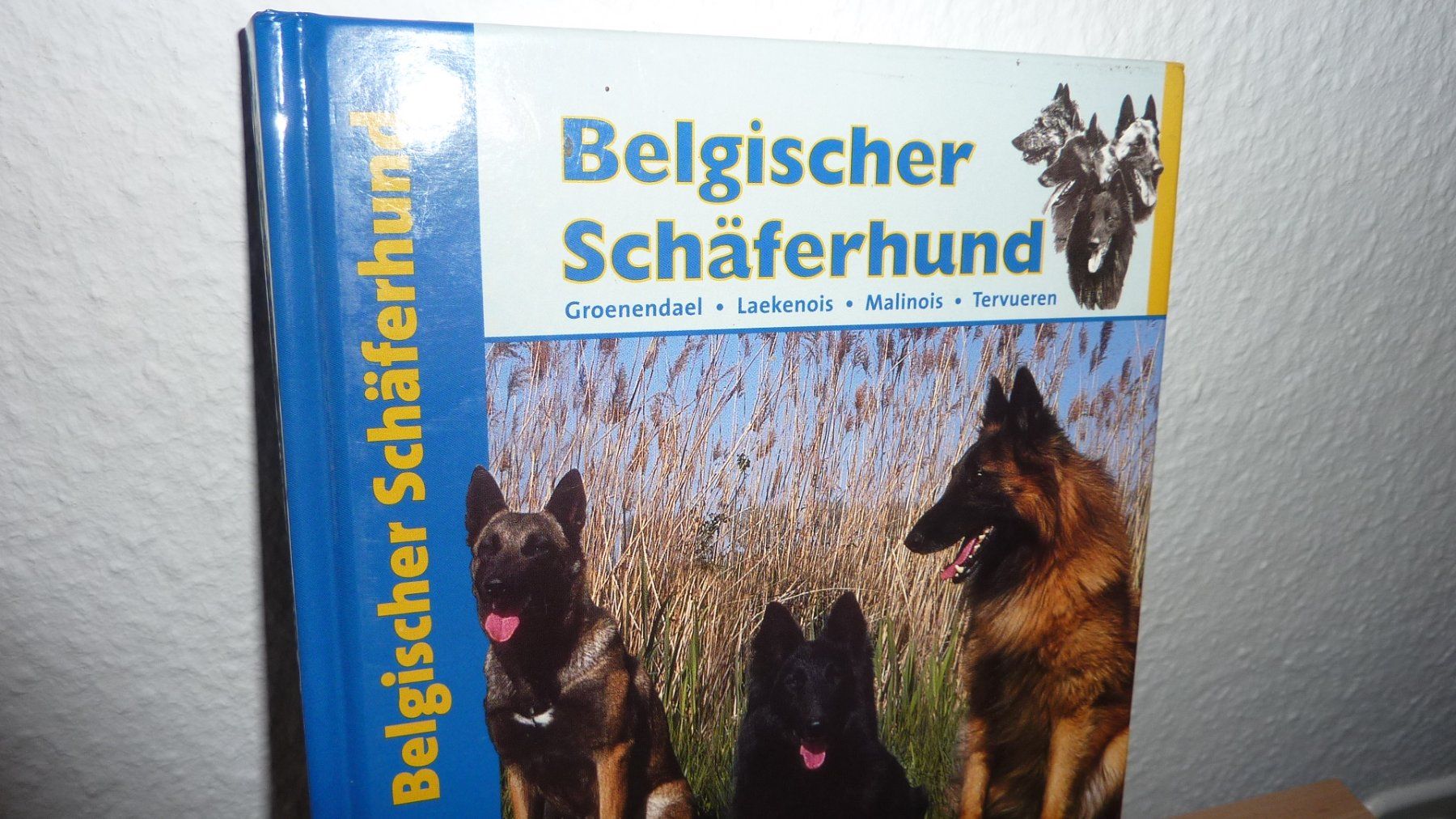 Livres: hundebuch  hunde – Neuf (Voir description) à Füllinsdorf par pmarkus