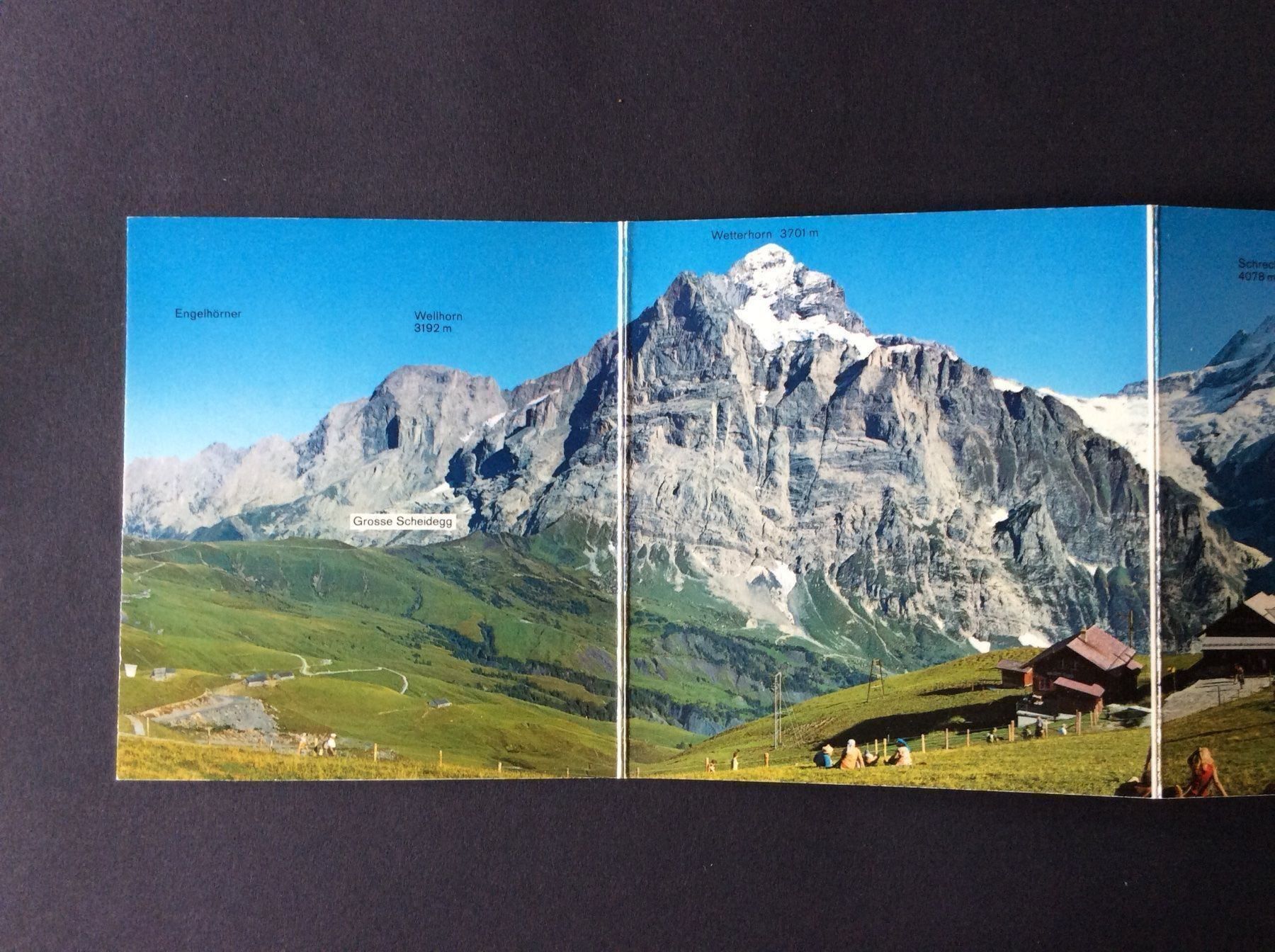 Cartine & Atlanti: Grindelwald Panorama – Usato da Widnau venduto da Brusi9 2