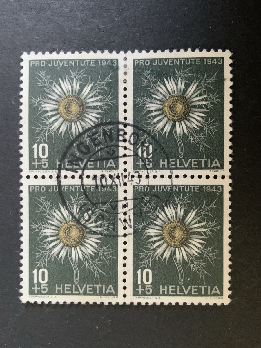 Tous les timbres: Ingenbohl – D'occasion à Binningen par chr_cr5n
