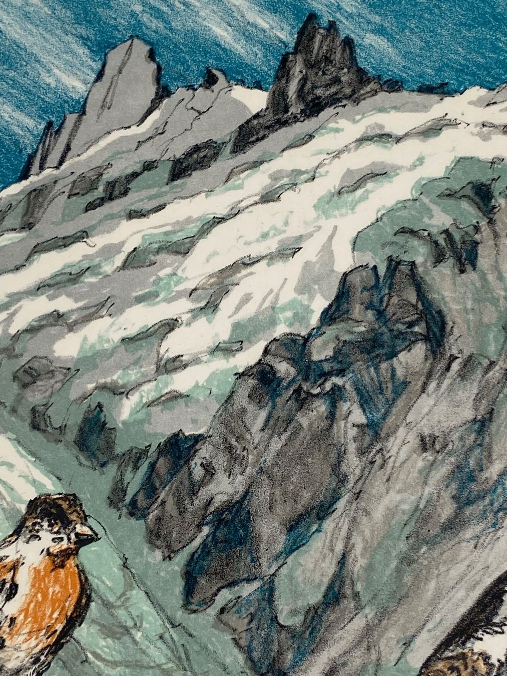 Grafica & Litografie: Alex Walter Dieggelmann - Bergfinken – Usato da Basel venduto da bigmbh 5