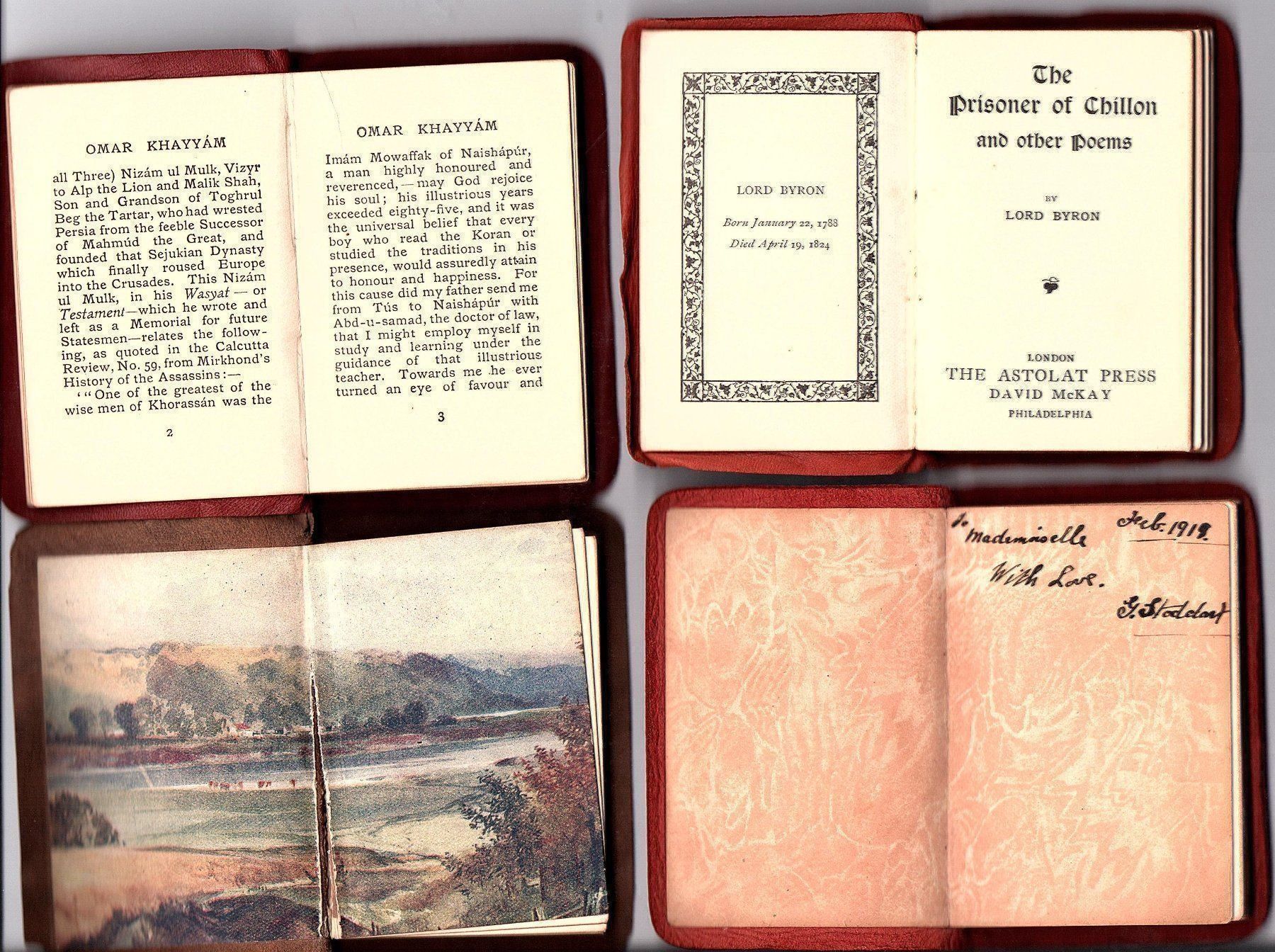 Libri: Antike Miniaturbücher ledergebunden Sammlung – Usato da Mörschwil venduto da wunderkiste44 3
