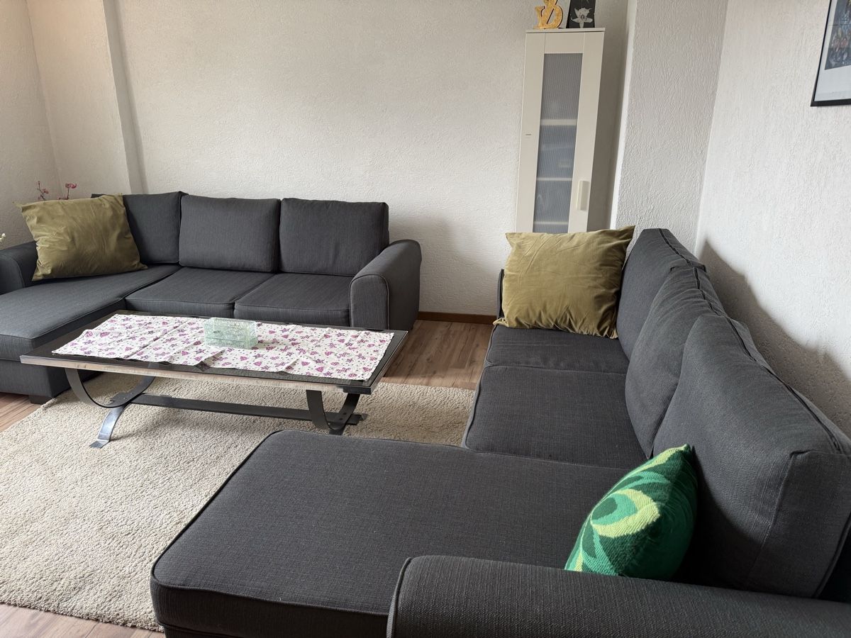 Divani: Sofa – Usato da Schlieren venduto da Flower5 4