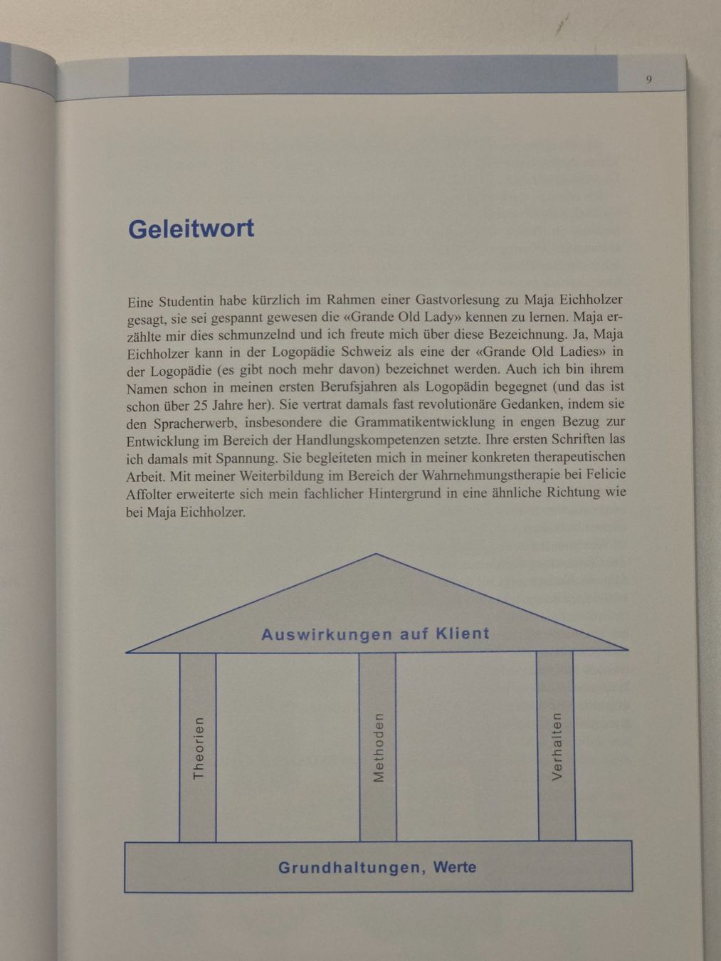 Libri: HANDELN DENKEN SPRACHE Sprachtherapie Logo Maja Eichholzer – Nuovo (secondo la descrizione) da Dürnten venduto da Bachtelrider_ 7