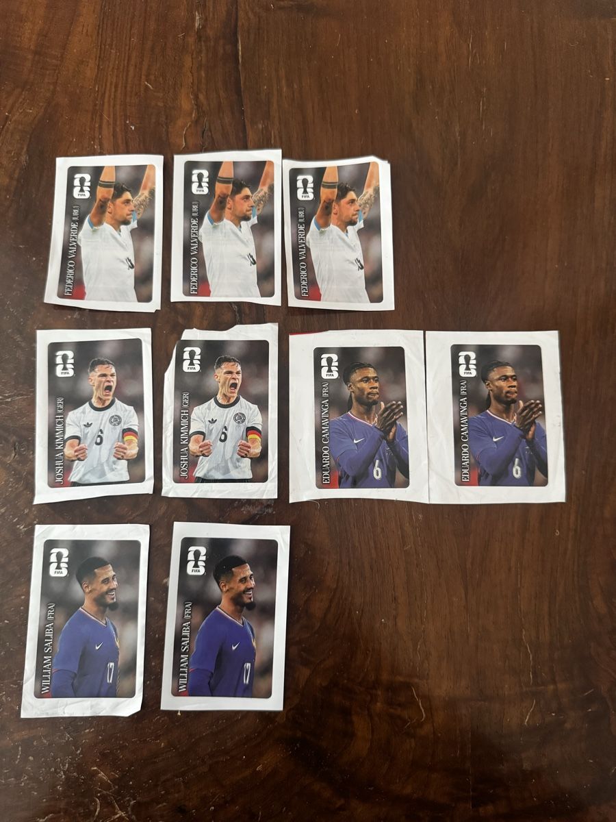 Panini Carte collezionabili: Panini WM 2026 Cola Sticker – Usato da Neuenhof venduto da Bornsh