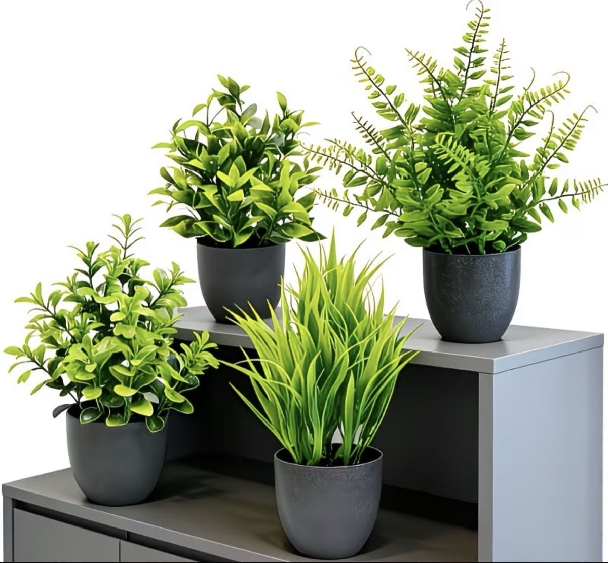 Piante & sementi: Set de 4 plantes artificielles – Nuovo e nell'imballaggio originale da Châtel-St-Denis venduto da Montclair_Swiss 1