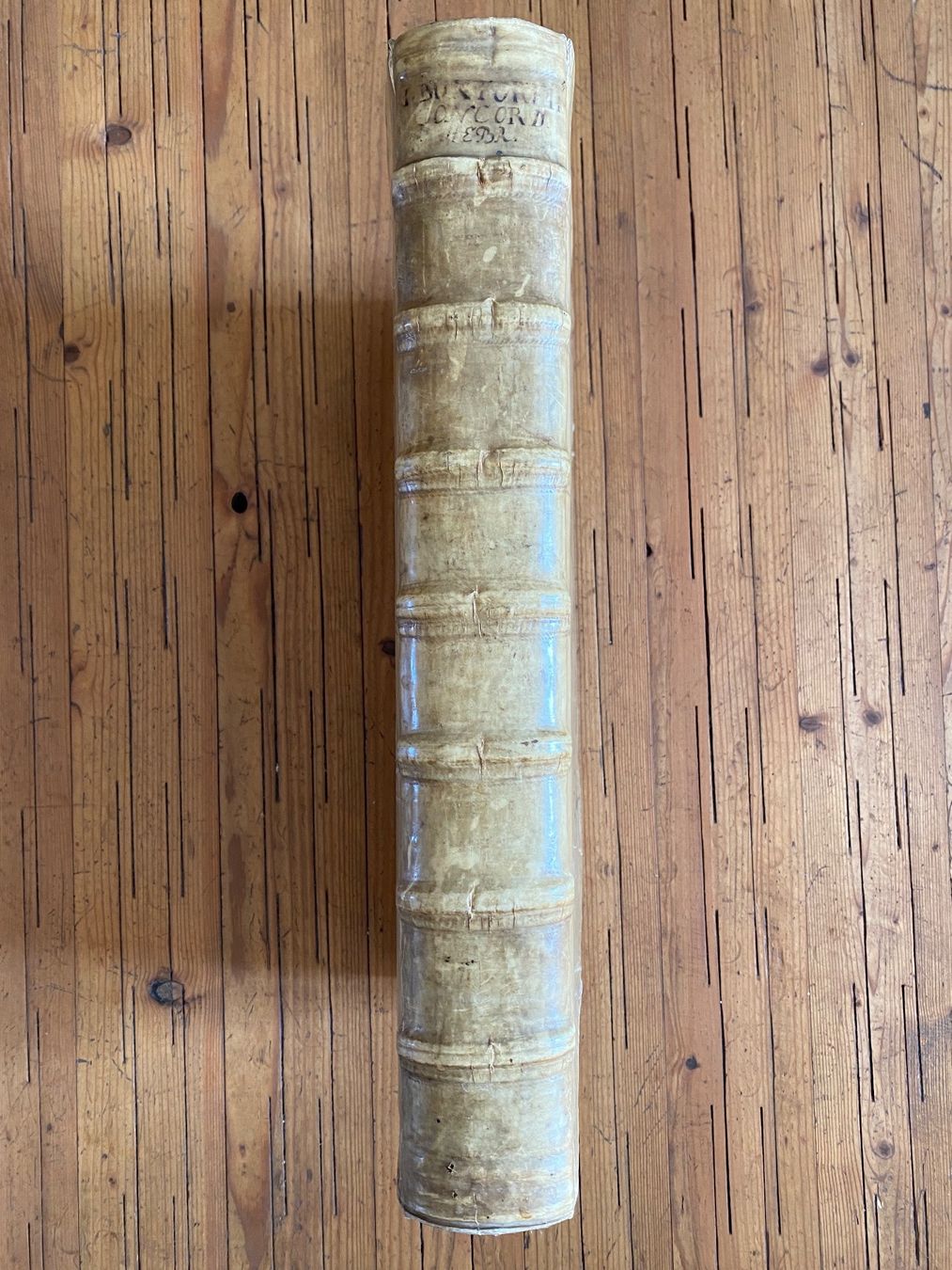 Libri: Bibelkonkordanz, 1632 – Usato da Basel venduto da Architrave1 7