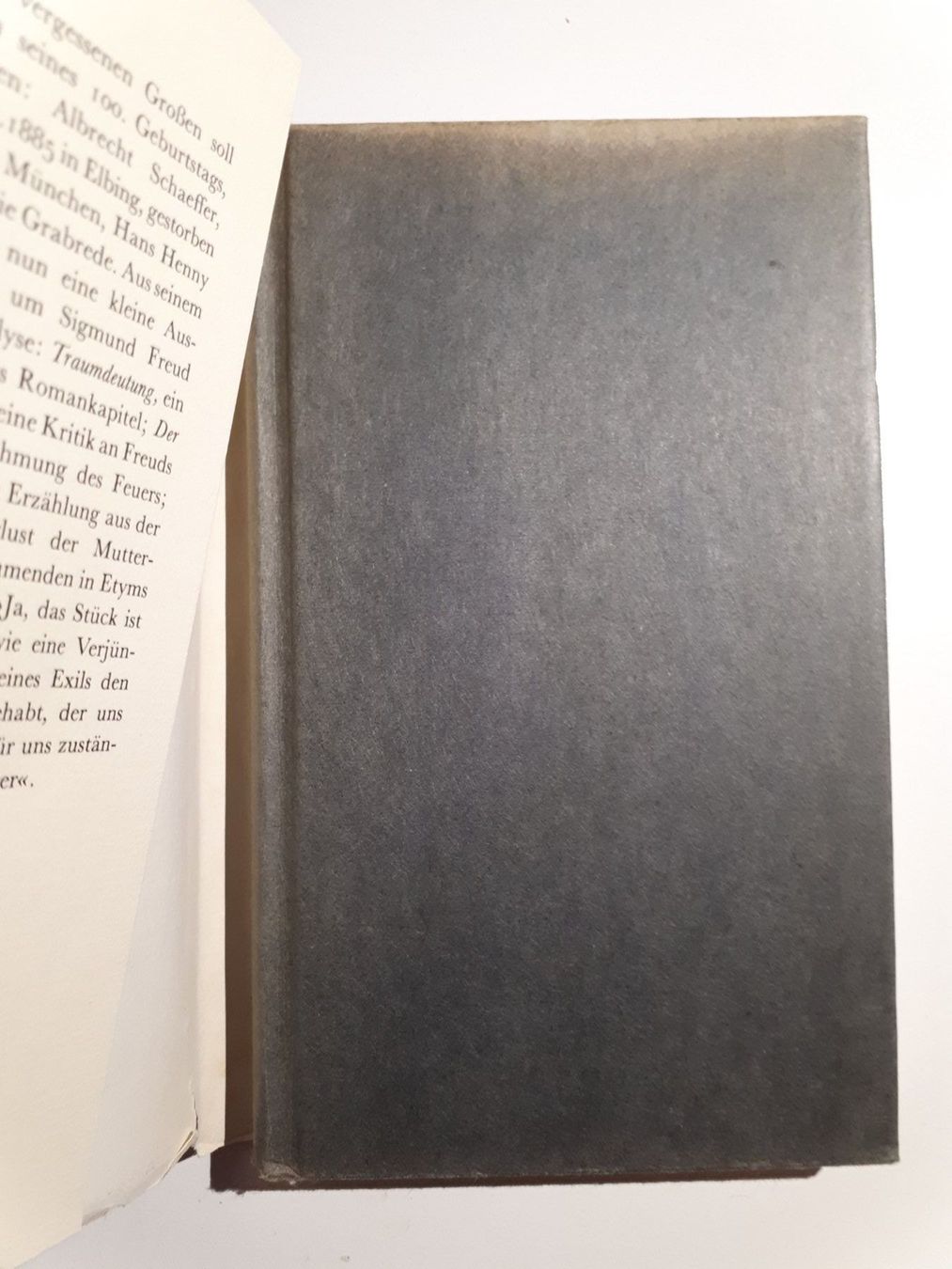 Bücher: Albrecht Schaeffer: Traumdeutung – Gebraucht aus Dietikon von Buchantiqdietikon 1