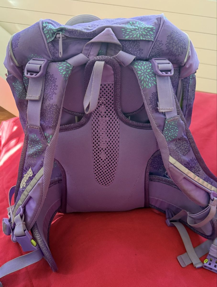 Ergobag Borse & Zaini: Ergobag Schulrucksack Set mit Zubehör, Top Zustand! – Usato da Baar venduto da cwuethrich 5