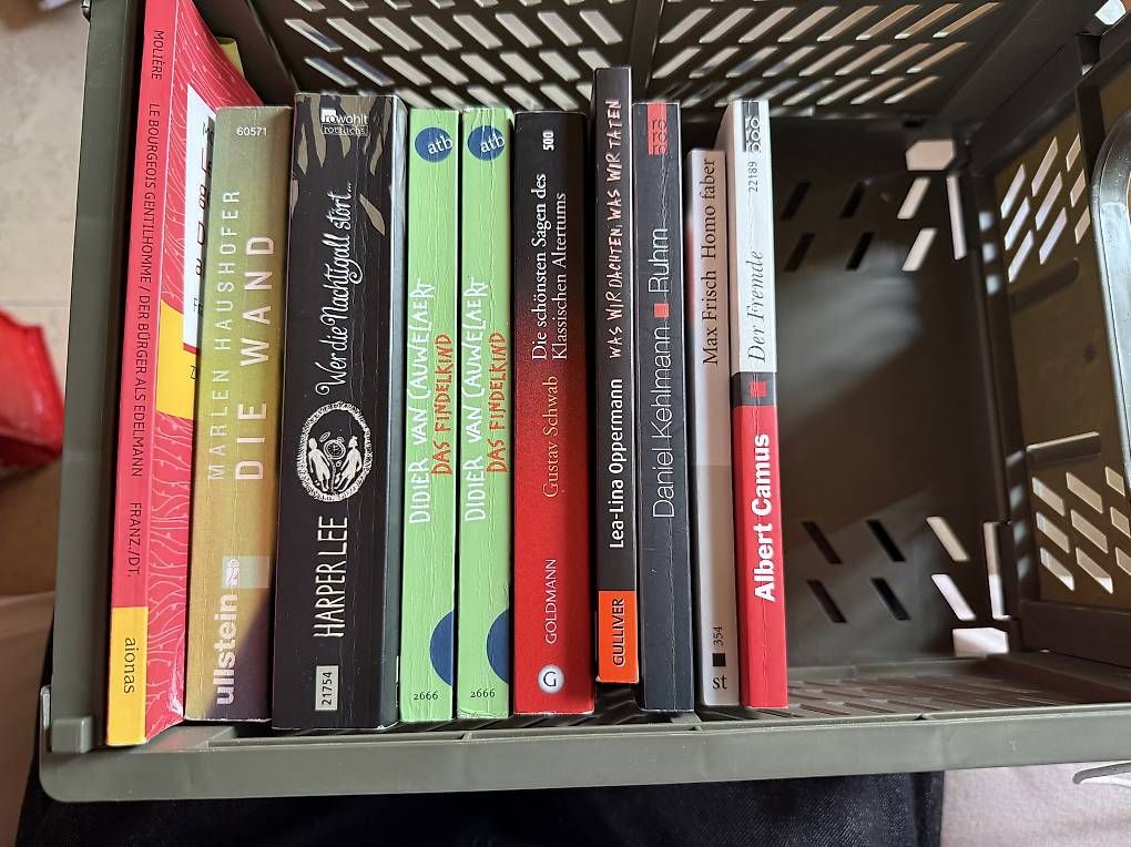 Libri: Deutsch Bücher, pro Stück 6 CHF – Usato da Sarnen venduto da ale_7ph7 1
