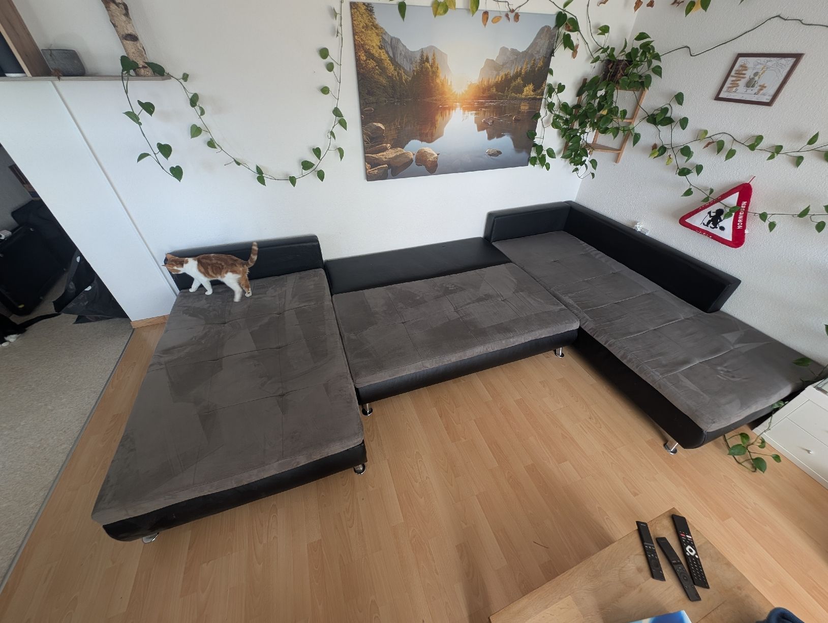 Sofas: Grosses Ecksofa mit Bettfunktion, Grau/Schwarz – Gebraucht aus Egolzwil von SharkyCH01 6