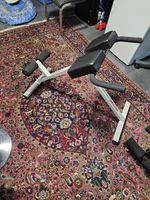 Kettler medic-sport Rueckenstrecker 