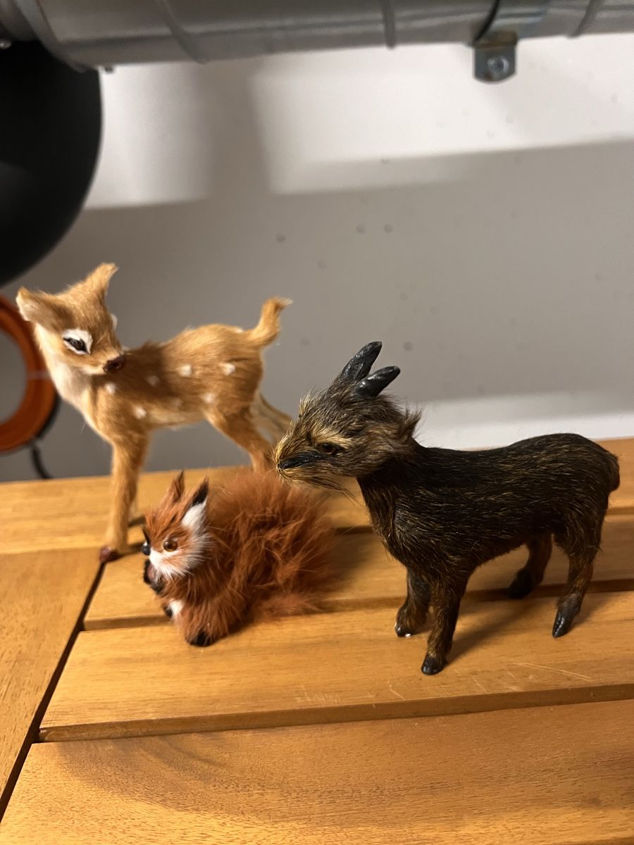 Figurines: Kleine Fell Tiere – D'occasion à Luzern par TIsabel