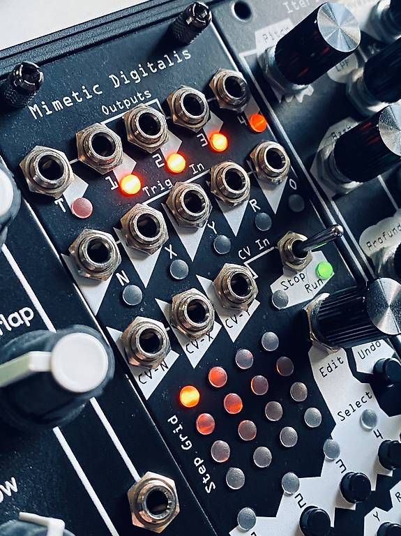 Strumenti musicali: Mimetic Digitalis Eurorack Module – Usato da Courroux venduto da RT82 2