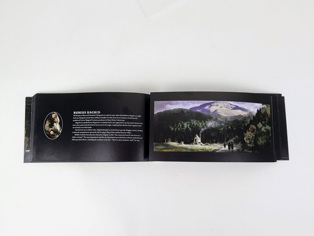Libri: HARRY POTTER The Wand Collection Buch – Usato da Thun venduto da Restwert_Thun 1