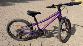 Kinderfahrrad Specialized Hot Rock, 20 Zoll, Bike