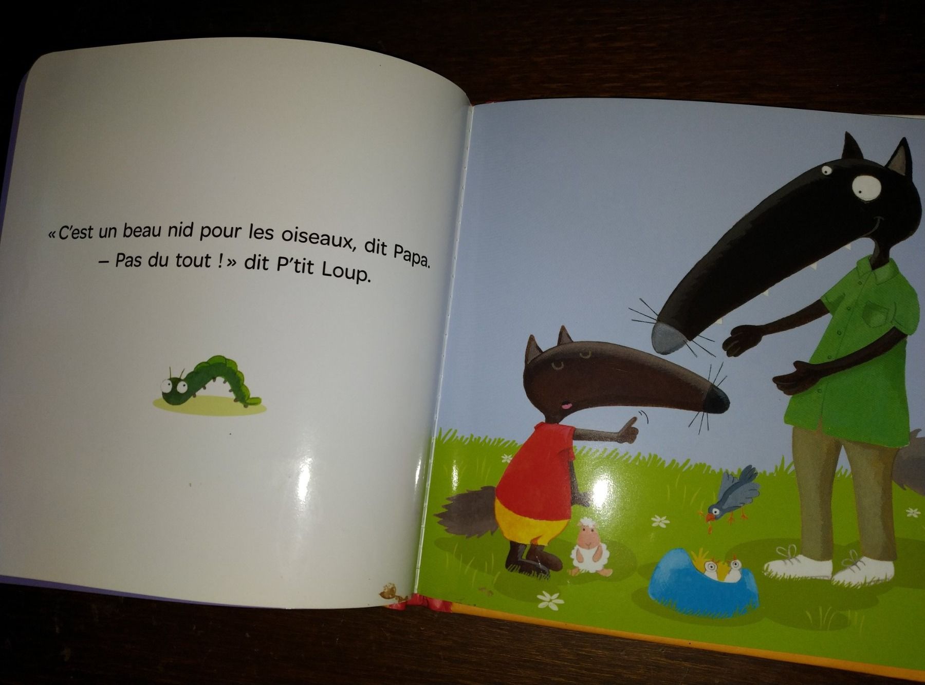 Libri: P'tit loup va sur le pot – Usato da Cortaillod venduto da rozinna 1
