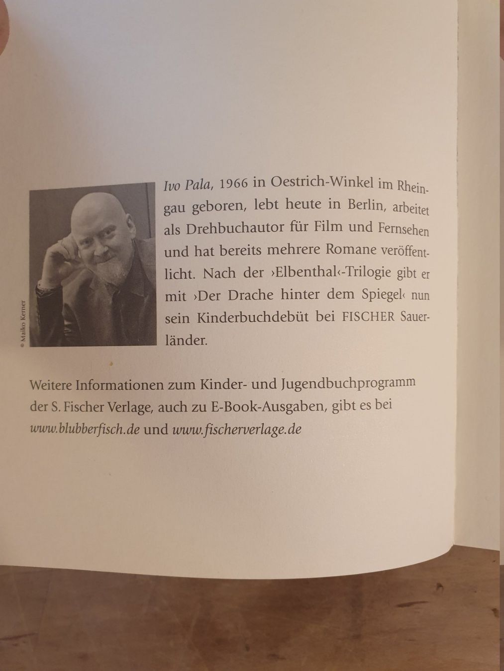 Libri: Der Drache hinter dem Spiegel Ivo Pala Sauerländer – Usato da Zürich venduto da loosebone 1