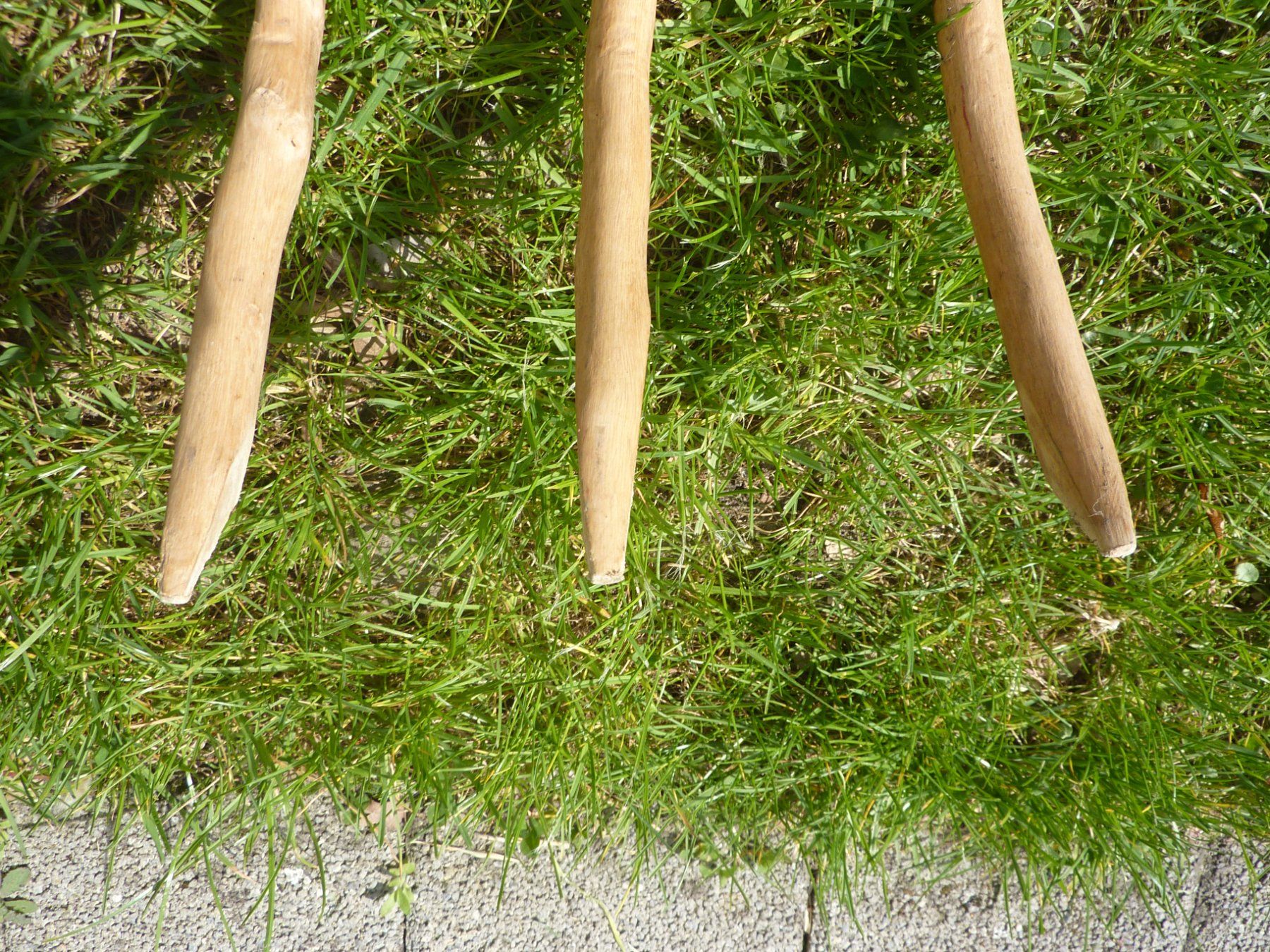 Forchette: Heugabel aus EINEM Stück Holz, Deko – Usato da Triengen venduto da Nussbaum14 2
