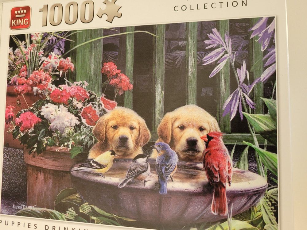Cogoalmoer 1000-Teile Puzzle – Bunte Vogel-Collage, 70x50 Cm, Inkl. Poster, Für Erwachsene
