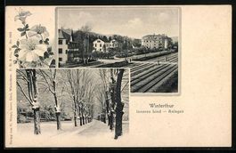 Winterthur, Lind-Anlagen, Strassenpartie