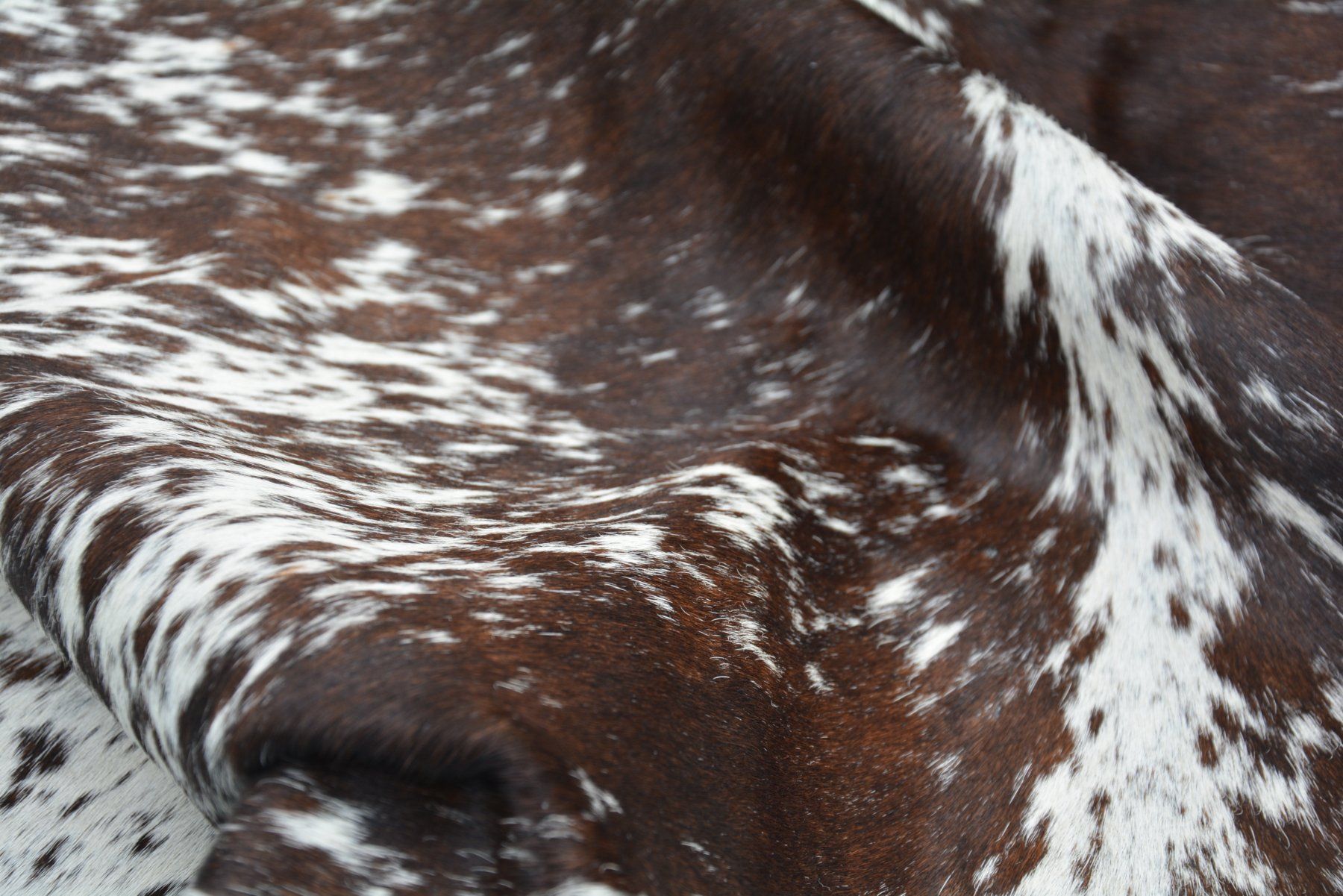 Tappeti: echtes Kuhfell Teppich Brown/White – Nuovo e nell'imballaggio originale da Arbedo venduto da patagonialeatherrugs 4