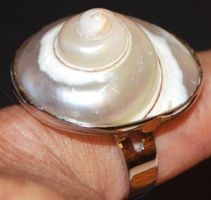 Ring L-8379 – Perlmutter Muschel Grössenverstellbar