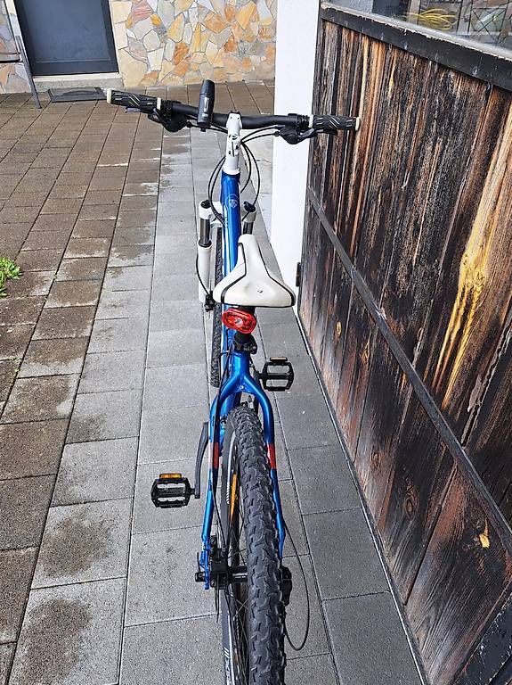 Biciclette: Damen Bike – Usato da Rüedisbach venduto da simon.86 1