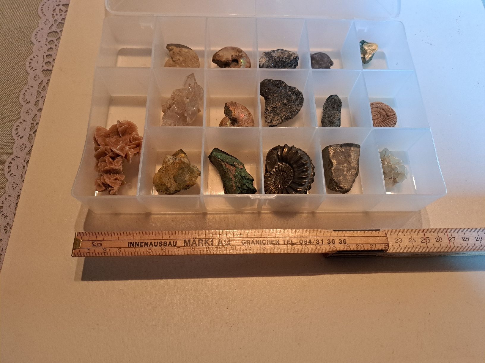 Fossilien: Div.Versteinerungen und Mineralien – Gebraucht aus Walde AG von Kunstgiesser 6