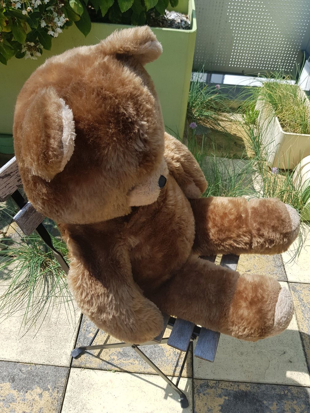 Giocattoli: Teddybär,  88cm gross – Usato da Jona venduto da dampfnuggi 1