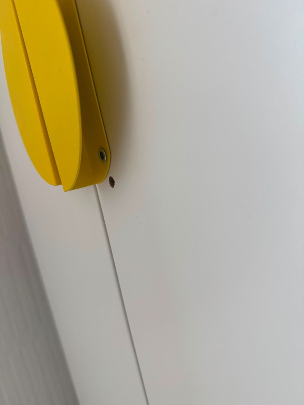 Ikea Scaffali: Ikea Regale abzugeben - gebraucht – Usato da Rotkreuz venduto da Giny2012 3