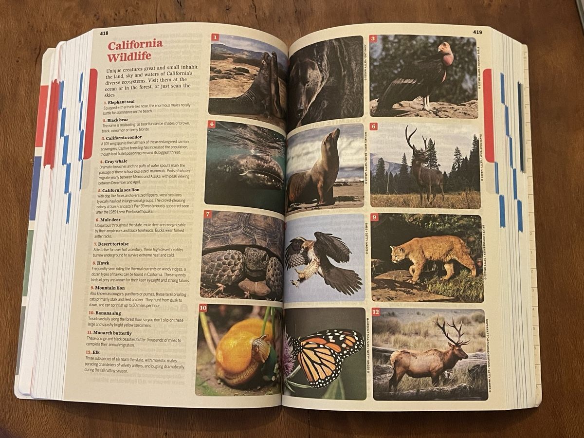 Libri: Lonely Planet California – Usato da Bern venduto da Piratamorgan 3