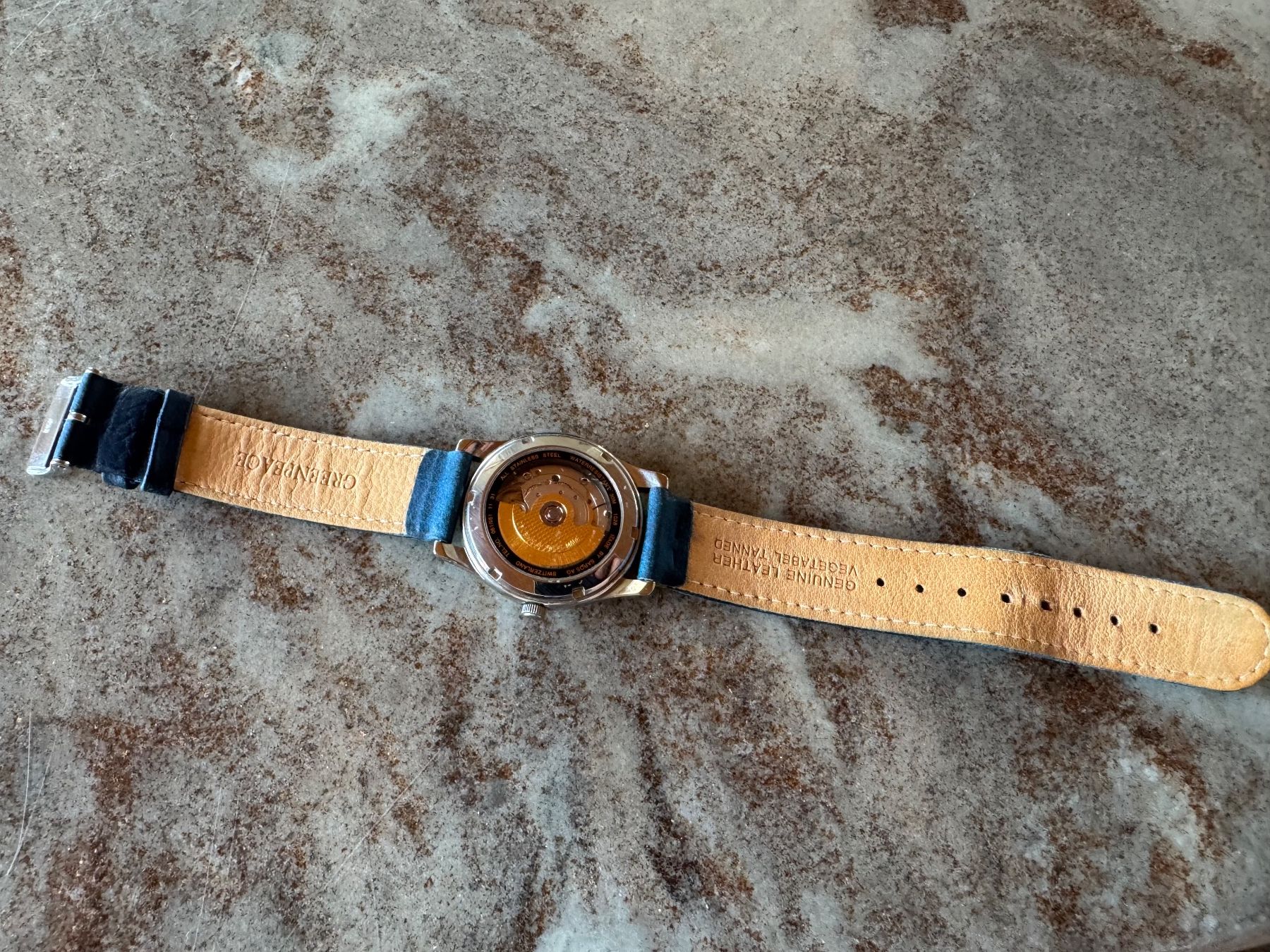Swiss Orologi: RAINBOW WARRIOR Automatic Uhr – Nuovo (secondo la descrizione) da frauenfeld venduto da pipi018 4