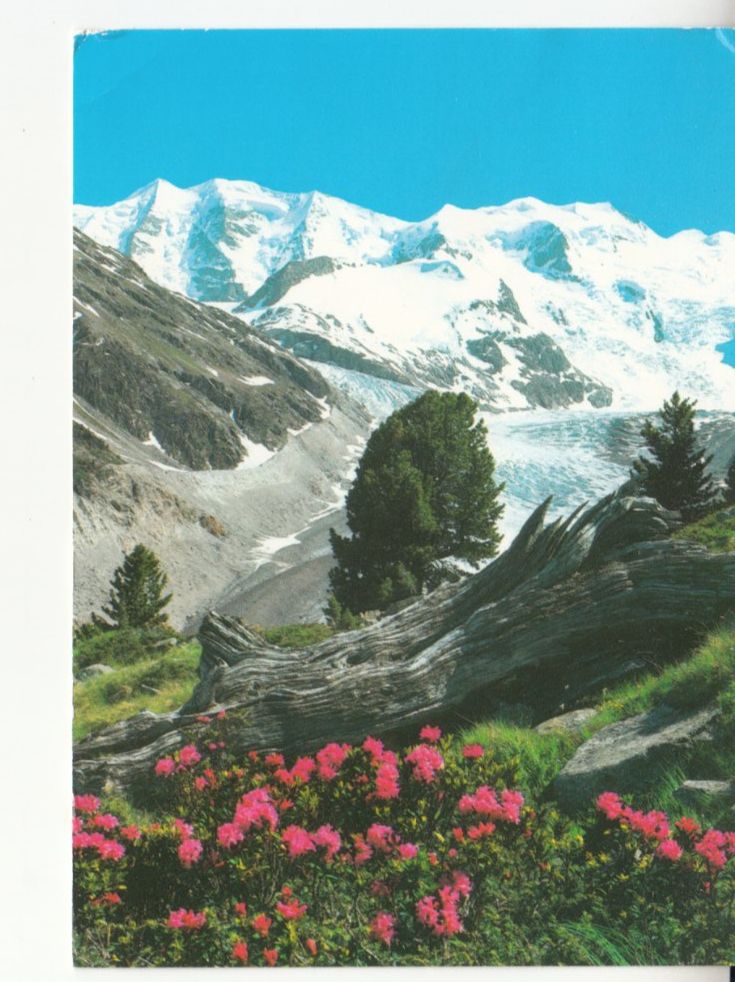 Cartoline postali: Piz Palü 2005 – Usato da Bürglen TG venduto da StampGraf