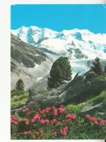 Piz Palü 2005
