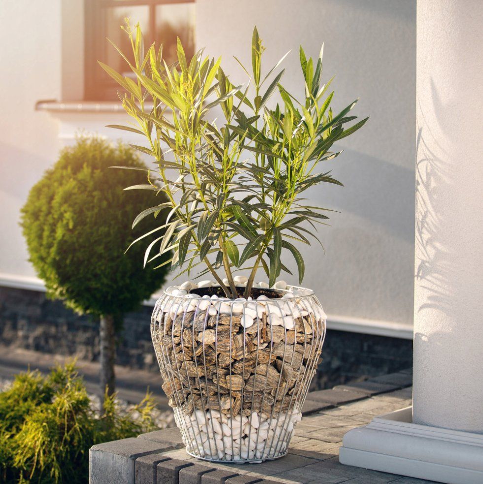 Vasi per fiori: Gabionen-Blumentopf – Nuovo e nell'imballaggio originale da Grenchen venduto da inf_h9fb 2