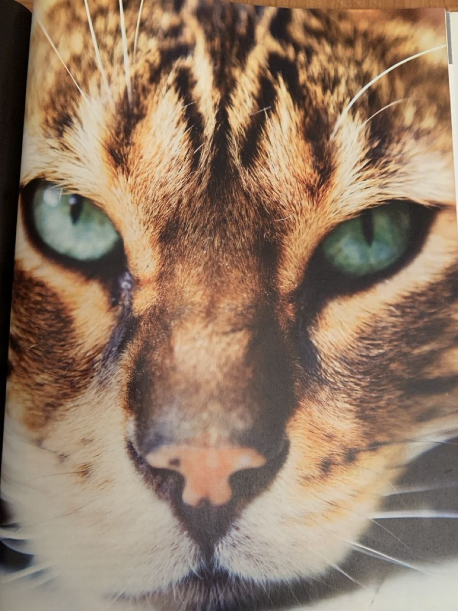 Zeitschriften & Magazine: 2 Ausgaben Beobachter Natur – Gebraucht aus Auslikon von Moisefeder 4
