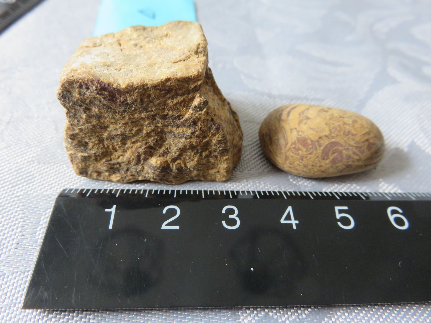 Fossilien: Fossilien Stein roh und geschliffen – Neu (gemäss Beschreibung) aus Rümlang von baselsale1 5