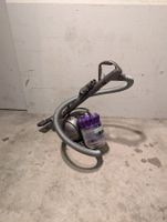 Dyson DC37 Allergy Muscle Head Parquet
