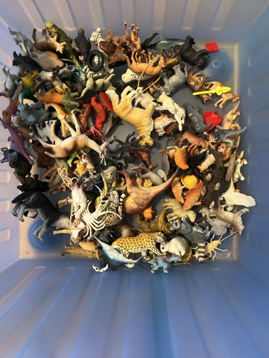 Schleich Spielzeuge: Diverse Schleichtiere – Gebraucht aus Regensdorf von cor_72rm 3