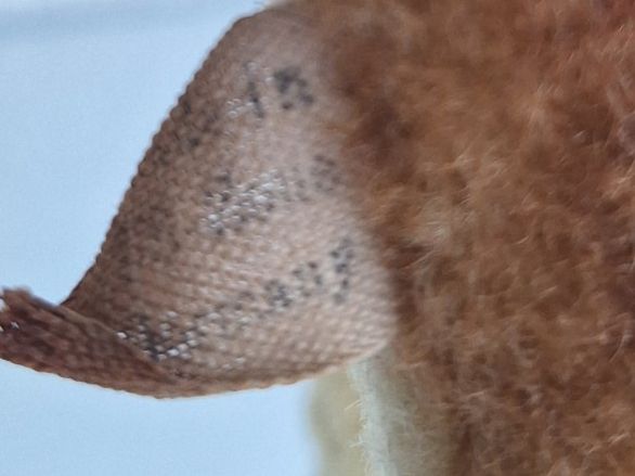Steiff Giocattoli: Steiff Reh US Zone Germany – Usato da Sissach venduto da luvama 6