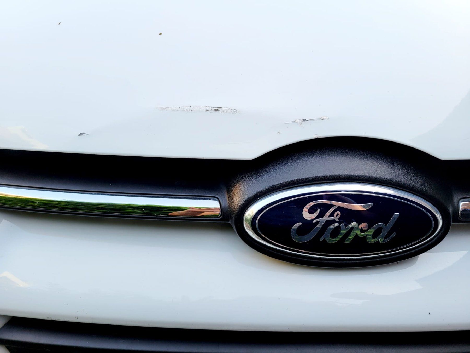 Ford Automobili: Ford Focus 1.6 125ps – Usato da dällikon venduto da caffepertutti 8