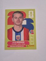 Panini Julian Rverson NOR 3