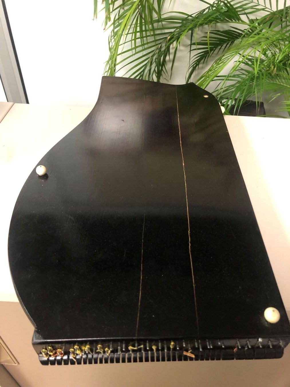 Strumenti musicali: Zither in Originalkoffer ! – Usato da Brügg BE venduto da doppelsalchow 3