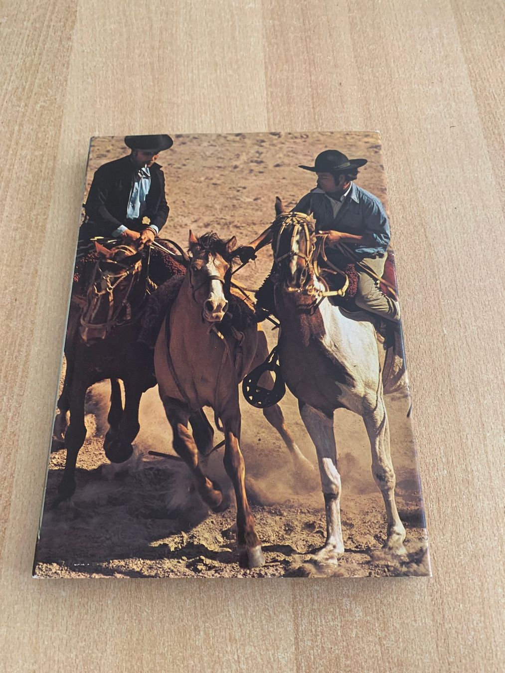 Bücher: Buch Argentinien Silva-Verlag 1976 – Gebraucht aus Reinach BL von Grolifcb